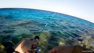 Рыбалка в Хургаде с берега часть 1 камни и первые поклевки на рассвете