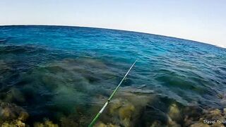 Рыбалка в Хургаде с берега часть 1 камни и первые поклевки на рассвете