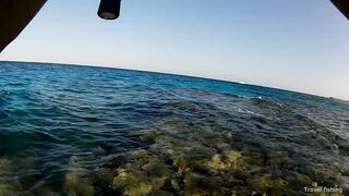 Рыбалка в Хургаде с берега часть 1 камни и первые поклевки на рассвете