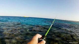 Рыбалка в Хургаде с берега часть 1 камни и первые поклевки на рассвете