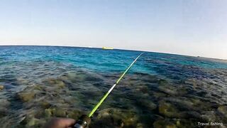 Рыбалка в Хургаде с берега часть 1 камни и первые поклевки на рассвете