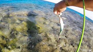 Рыбалка в Хургаде с берега часть 1 камни и первые поклевки на рассвете