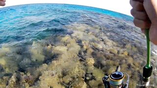 Рыбалка в Хургаде с берега часть 1 камни и первые поклевки на рассвете