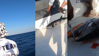 Хургада: троллинг и рыбалка в Египте, что реально цепляется на дорожку