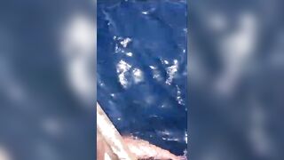 الغردقة, رحلة صيد ٩ ٢٠٢٣ морская рыбалка и короткие моменты на воде