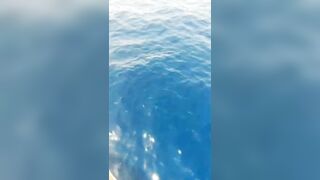 الغردقة, رحلة صيد ٩ ٢٠٢٣ морская рыбалка и короткие моменты на воде