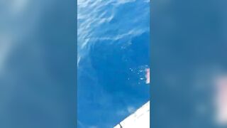 الغردقة, رحلة صيد ٩ ٢٠٢٣ морская рыбалка и короткие моменты на воде