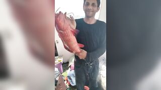 الغردقة, رحلة صيد ٩ ٢٠٢٣ морская рыбалка и короткие моменты на воде