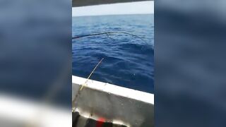 الغردقة, رحلة صيد ٩ ٢٠٢٣ морская рыбалка и короткие моменты на воде