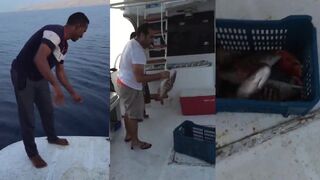 الغردقه на лодке с الريس جادالله Mostar что ловят на выходе и где держится рыба