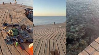 Shore jigging в Egypt / Египет что взяли на джиг с берега у моря