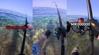 REEF FISHING IN EGYPT какие рифовые виды клюют и на что ставить