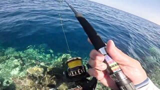 Морская рыбалка в Египте с друзьями: Красное море, Хургада и яркий трофейный день