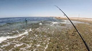 Морская рыбалка в Египте с друзьями: Красное море, Хургада и яркий трофейный день