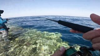 Морская рыбалка в Египте с друзьями: Красное море, Хургада и яркий трофейный день