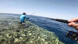 Морская рыбалка в Египте с друзьями: Красное море, Хургада и яркий трофейный день