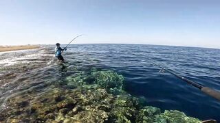 Морская рыбалка в Египте с друзьями: Красное море, Хургада и яркий трофейный день