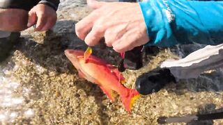 Морская рыбалка в Египте с друзьями: Красное море, Хургада и яркий трофейный день