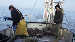 Бурное море: بحر الشمال с голландским рыбаком и жесткие условия