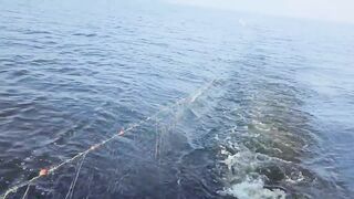 Бурное море: بحر الشمال с голландским рыбаком и жесткие условия