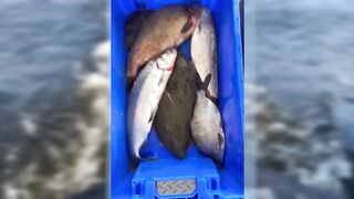 Бурное море: بحر الشمال с голландским рыбаком и жесткие условия