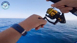 مصر, кастинг и джигинг за один выезд, что ставить на море чтобы не остаться без поклевок
