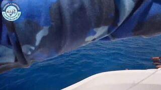 مصر, кастинг и джигинг за один выезд, что ставить на море чтобы не остаться без поклевок