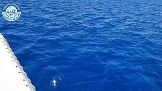 مصر, кастинг и джигинг за один выезд, что ставить на море чтобы не остаться без поклевок