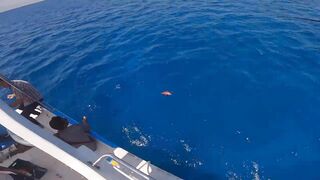 مصر, кастинг и джигинг за один выезд, что ставить на море чтобы не остаться без поклевок