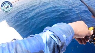 مصر, кастинг и джигинг за один выезд, что ставить на море чтобы не остаться без поклевок