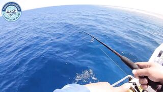 مصر, кастинг и джигинг за один выезд, что ставить на море чтобы не остаться без поклевок