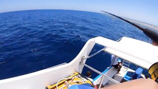 مصر, кастинг и джигинг за один выезд, что ставить на море чтобы не остаться без поклевок