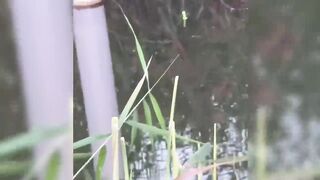 Новый рыболовный челлендж в районе Matariya в Египте: за какой рыбой гоняются местные