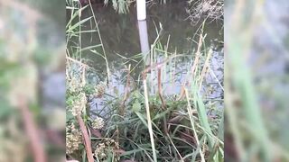 Новый рыболовный челлендж в районе Matariya в Египте: за какой рыбой гоняются местные