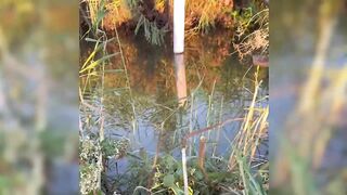 Новый рыболовный челлендж в районе Matariya в Египте: за какой рыбой гоняются местные