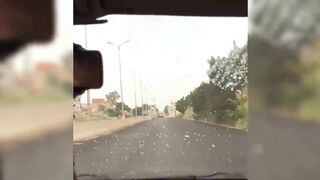 Новый рыболовный челлендж в районе Matariya в Египте: за какой рыбой гоняются местные