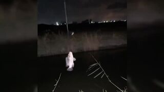 Новый рыболовный челлендж в районе Matariya в Египте: за какой рыбой гоняются местные