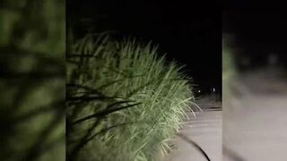 Новый рыболовный челлендж в районе Matariya в Египте: за какой рыбой гоняются местные