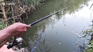 رحله صيد سمك في الريف المصري как проходит рыбалка в деревне