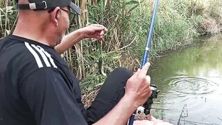 رحله صيد سمك في الريف المصري как проходит рыбалка в деревне