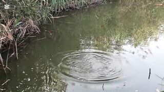 رحله صيد سمك في الريف المصري как проходит рыбалка в деревне