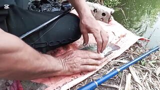 رحله صيد سمك في الريف المصري как проходит рыбалка в деревне