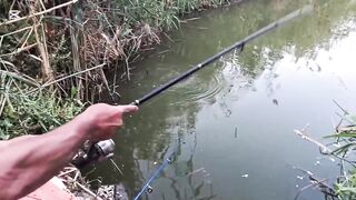 رحله صيد سمك في الريف المصري как проходит рыбалка в деревне