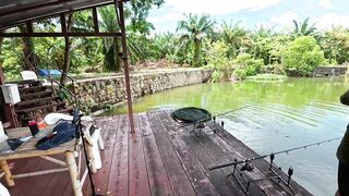 Monster Fishing Park Phuket - парк мечты или платный аквариум для фото?