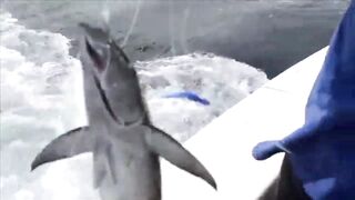 Phuket big game и морская рыбалка за трофеем когда начинается жара