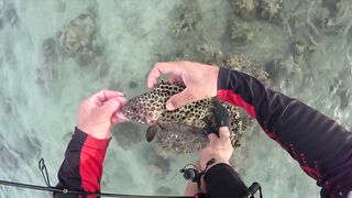 Ultralight fishing Phuket ( jig/soft plastic)