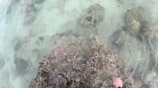 Ultralight fishing Phuket ( jig/soft plastic)