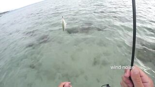 Ultralight fishing Phuket ( jig/soft plastic)