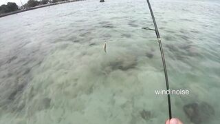 Ultralight fishing Phuket ( jig/soft plastic)