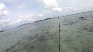 Ultralight fishing Phuket ( jig/soft plastic)